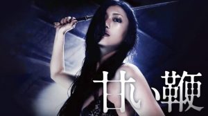 「甘い鞭」壇蜜が縛られてSM調教レイプ[エロ動画レビュー]